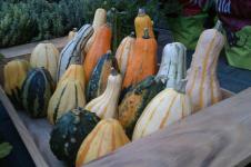 Calabazas_2