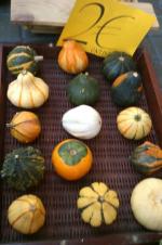 Calabazas_1